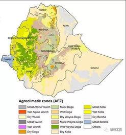 69精品产区最新在线播放,在线视听盛宴，尽享视听新体验